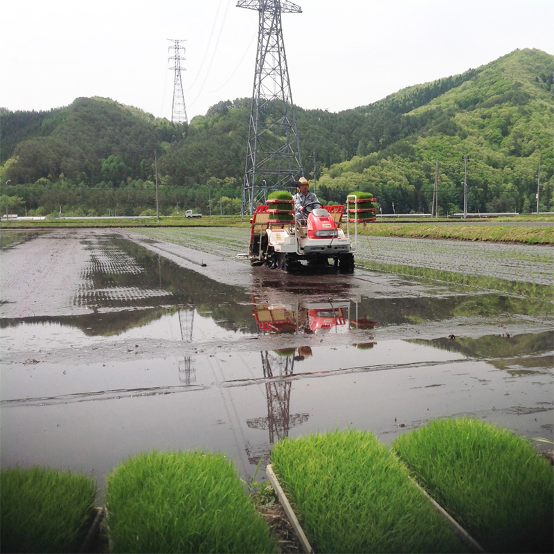 南会津 田植え風景